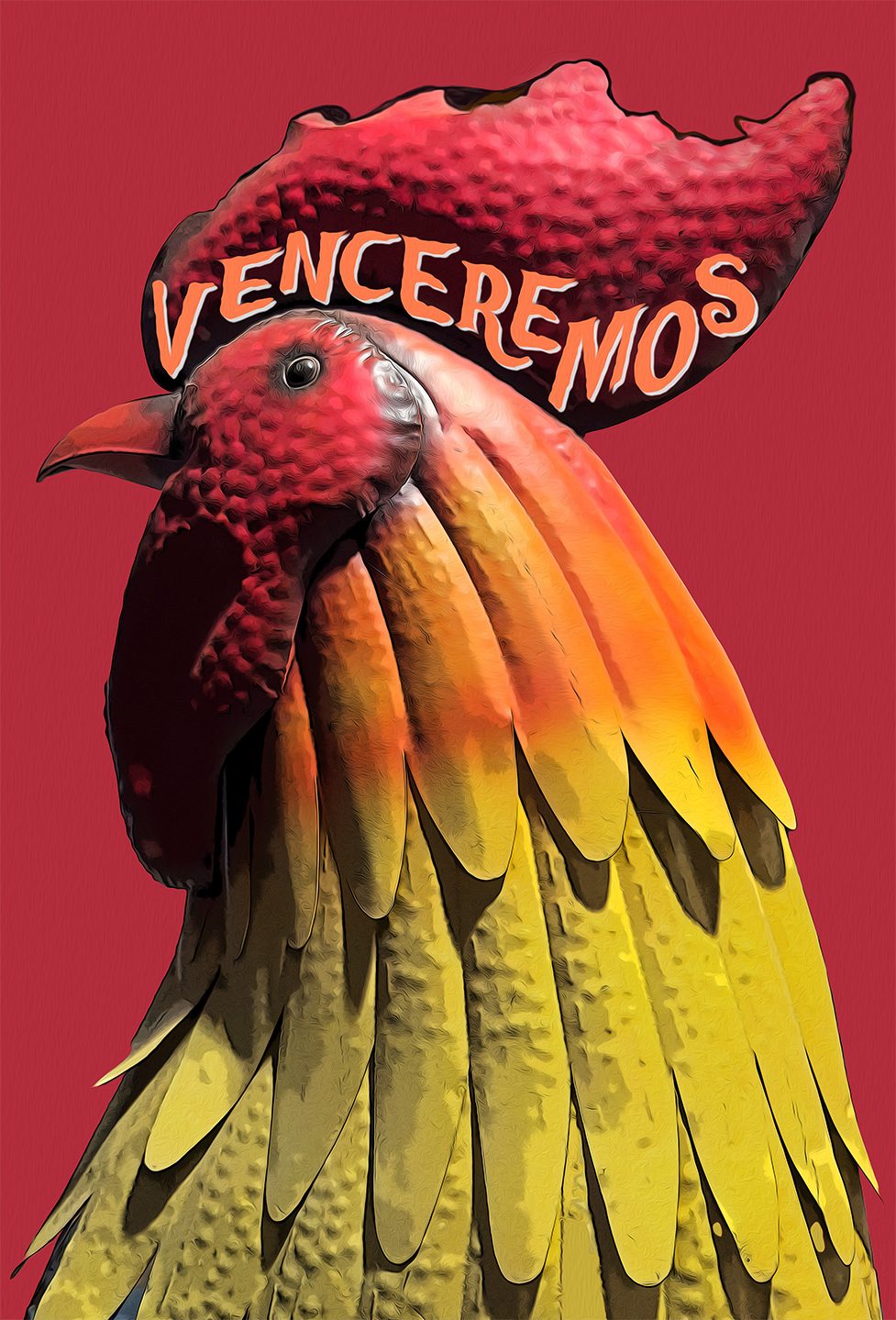 this image depicts the head of shoulders of a metal rooster who stands tall on the front porch of the Venceremos meeting hall front porch